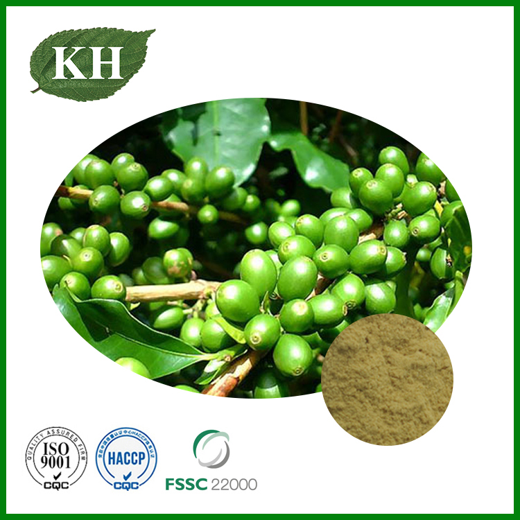 Green Coffee Bean Extract.jpg
